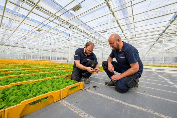 Flier Systems op de Canadian Greenhouse Conference, 8–9 oktober in Niagara Falls. Bezoek stand 911. Harvesting Resilience.